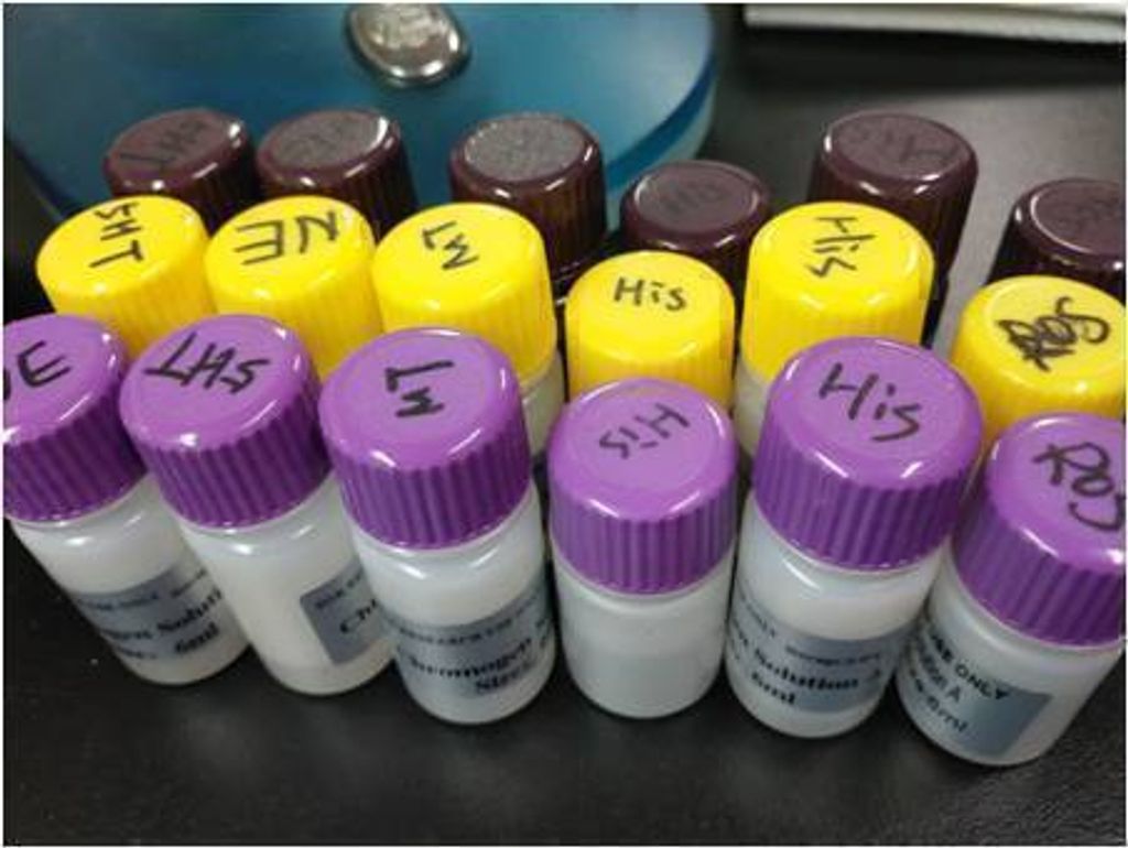 elisa kit buffer zgenebio5