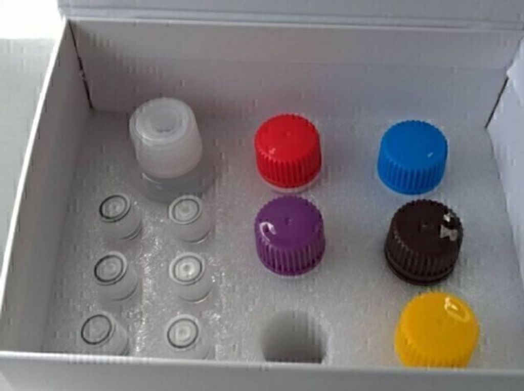 ELISA KIT 2