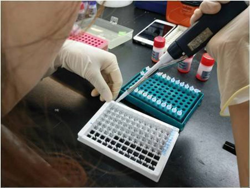 elisa kit buffer zgenebio3