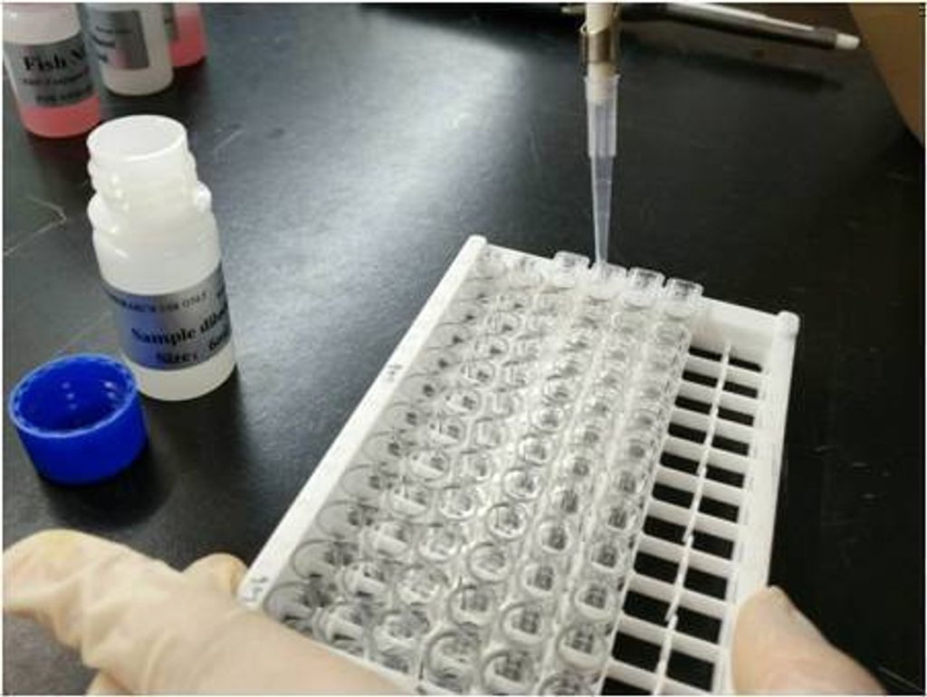 elisa kit buffer zgenebio2