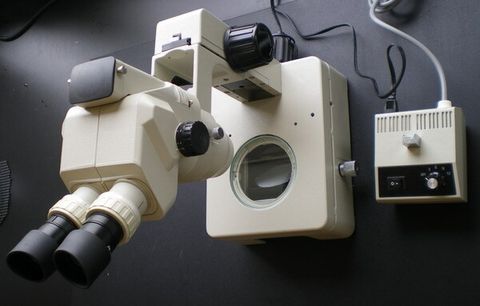 解剖顯微鏡 Stereo Microscope
