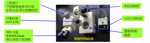 顯微鏡