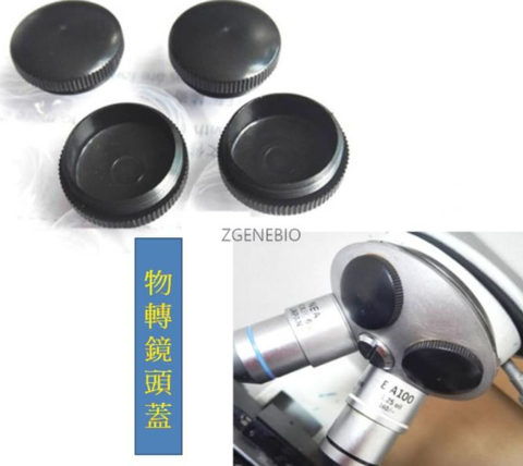 螢幕擷取畫面 2025-07-31 170812