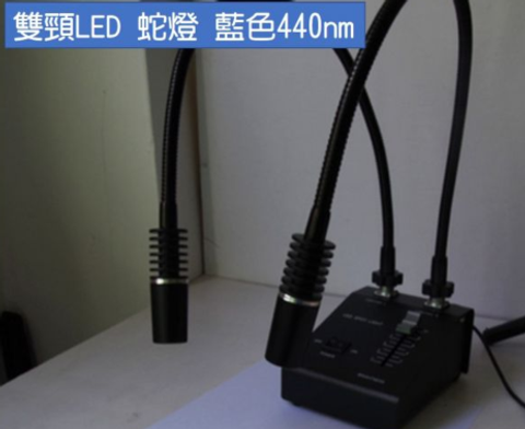螢幕擷取畫面 2025-07-31 175852
