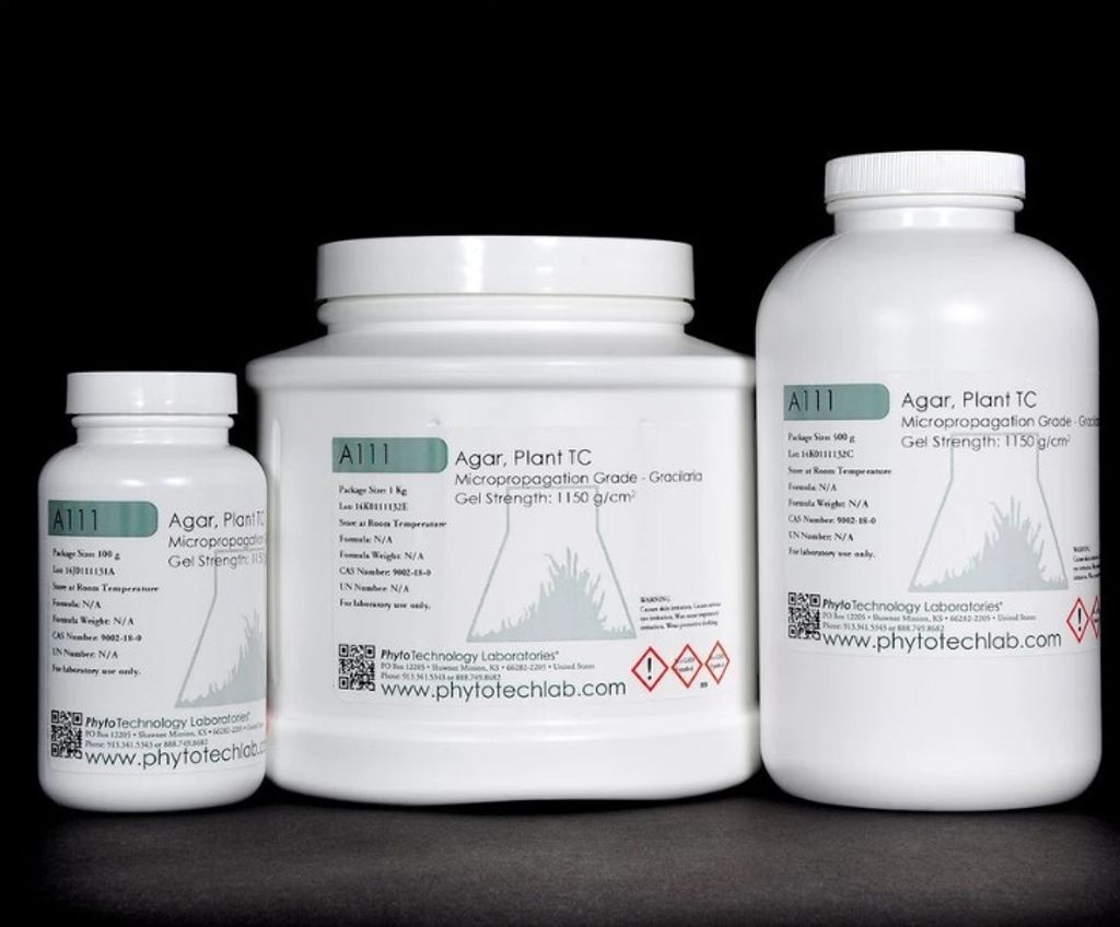 phyto Agar