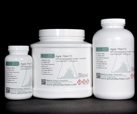 phyto Agar