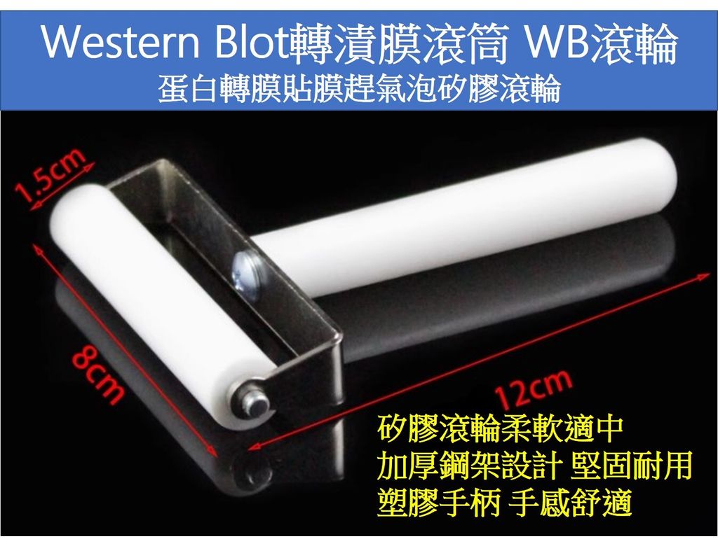 8公分滾筒介紹白色