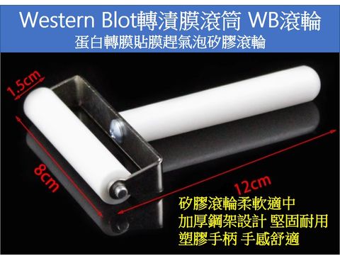 8公分滾筒介紹白色