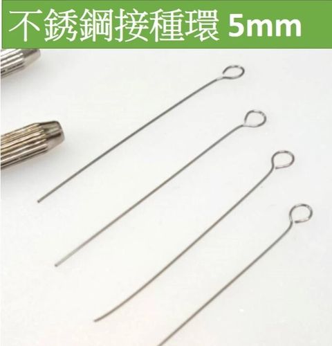 接種環 5mm