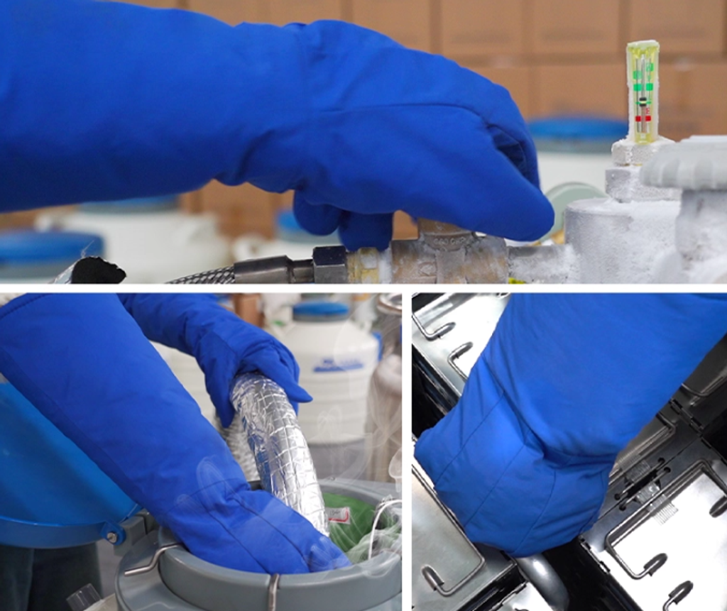 螢幕擷取畫面 2025-11-13 145438