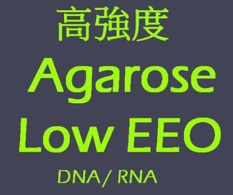Agarose Low EEO 高解析
