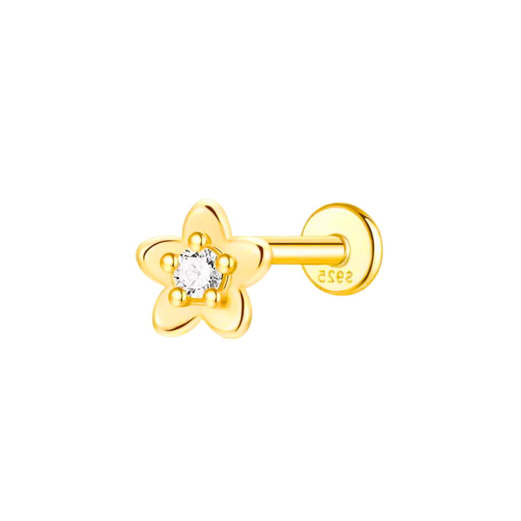 Product cover pic (7)