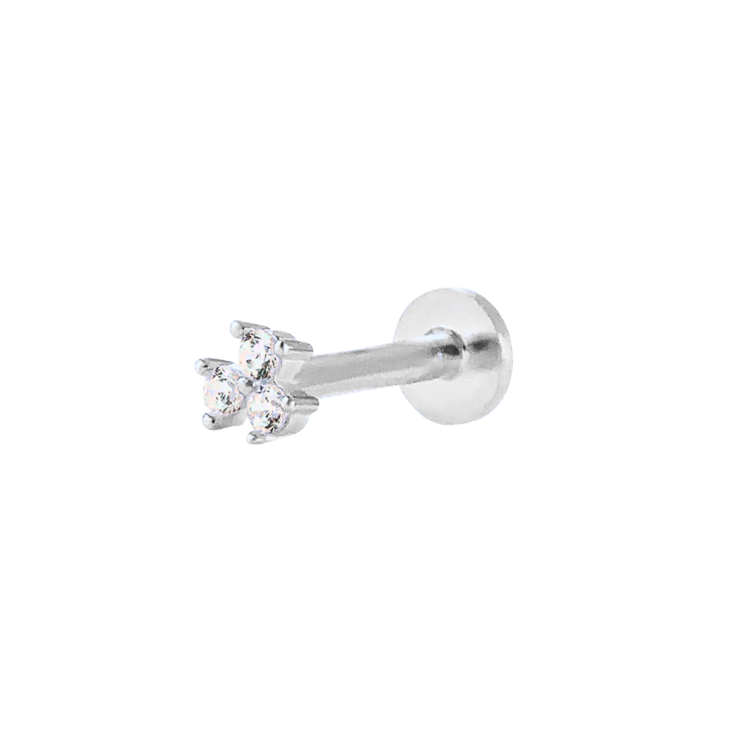 Product cover pic (10)