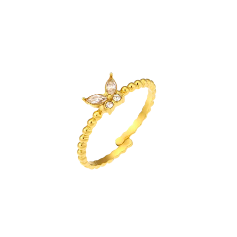 Product cover pic (17)