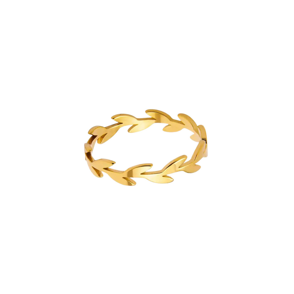 Product cover pic (20)