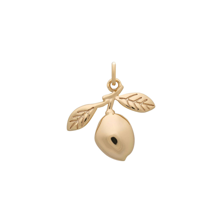 Charms collection (7)