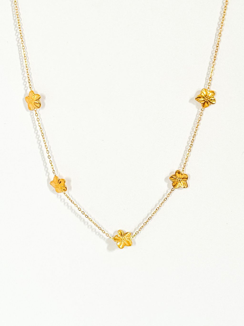 image_A08612C5-657F-4335-8B01-41824A3CEE4A_1762929980