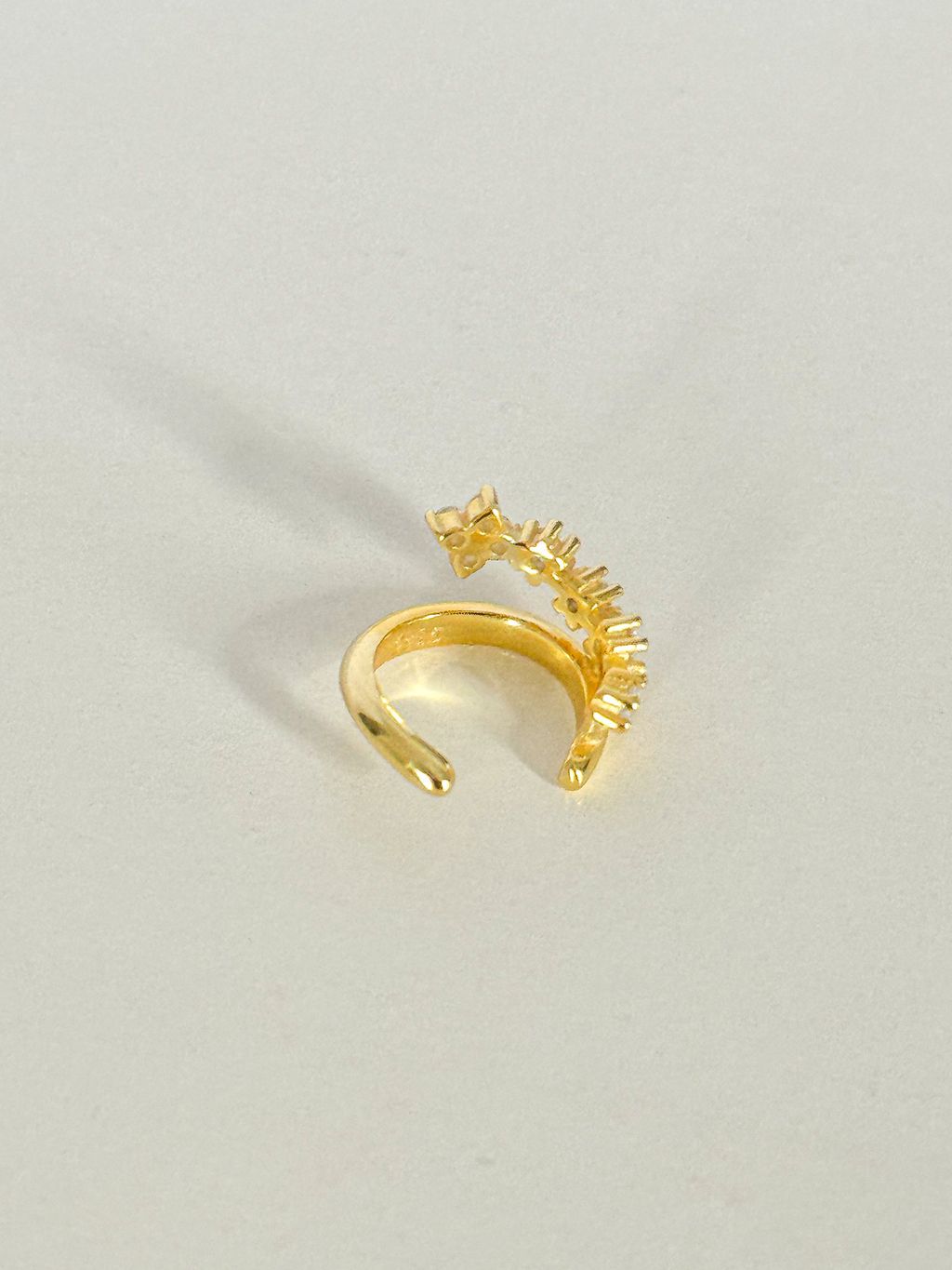 image_91F6D892-CA8A-41A3-90DC-E09C975A6EBE_1768565125