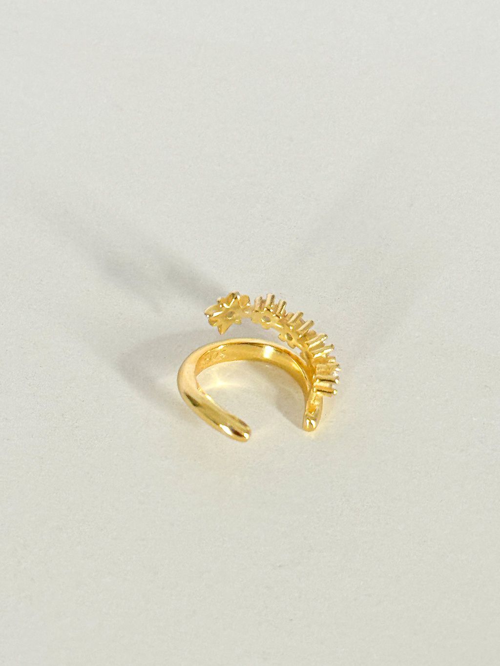 image_56C4D3E5-C308-481E-B8A2-ED7F811D4979_1768565327