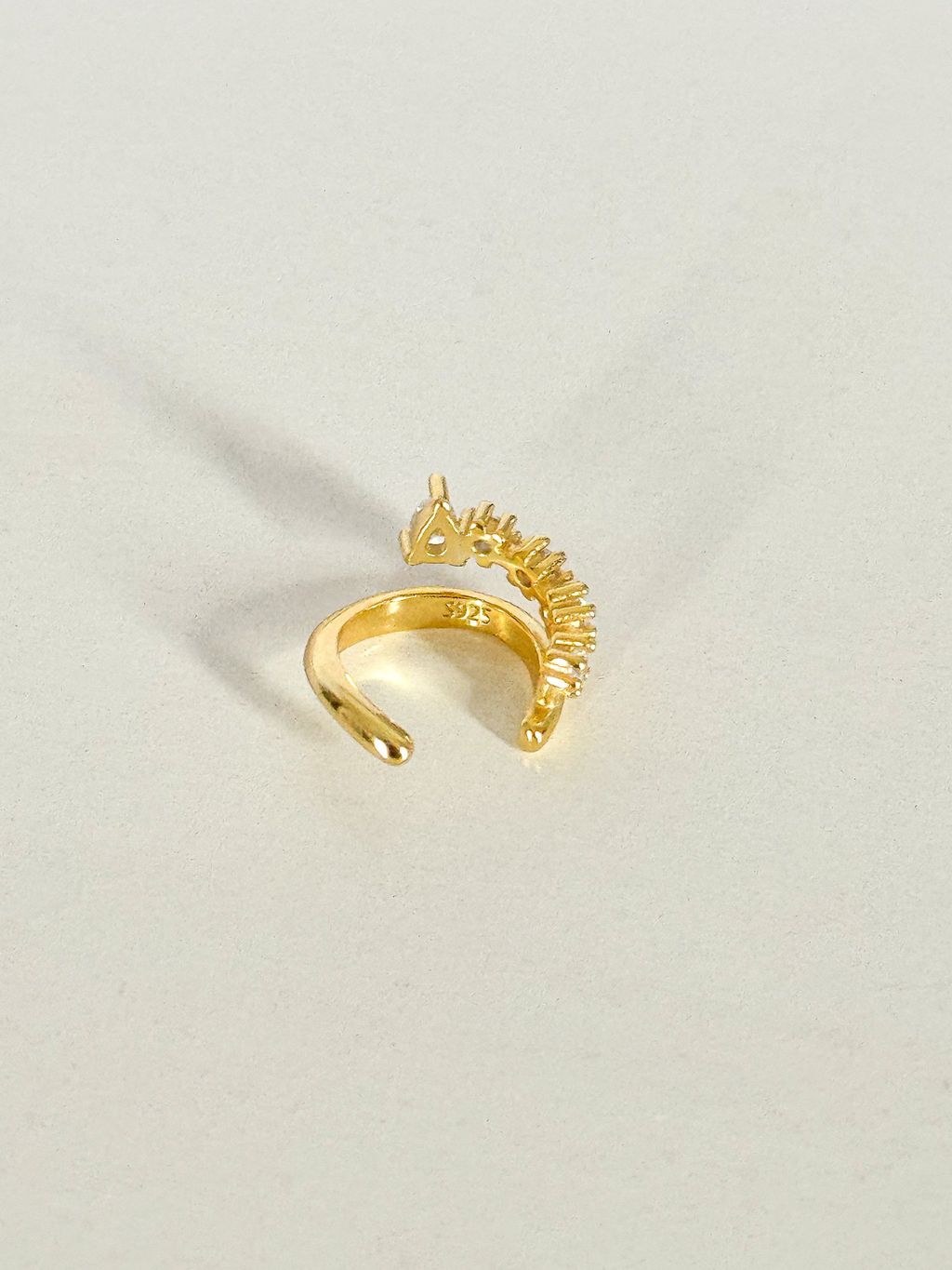 image_4391D8BF-211E-41D7-8E63-D5E6C592C9DF_1768565380