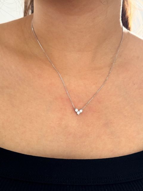 image_F773BEDE-EC7C-48ED-BC63-C007ACAF38CD_1769743943