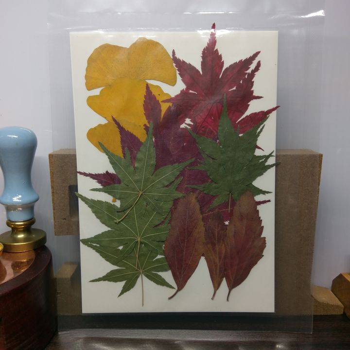 IMG_1641821196500.png