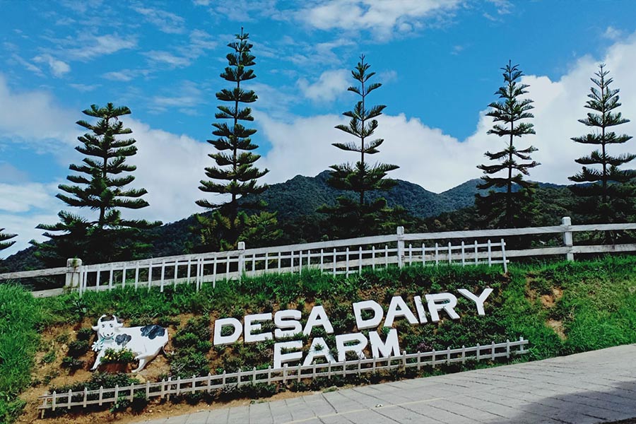 Desa-Dairy-Farm.jpg Desa-Dairy-Farm.jpg
