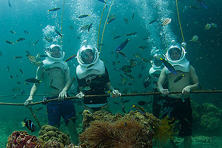 seawalking.jpg seawalking.jpg