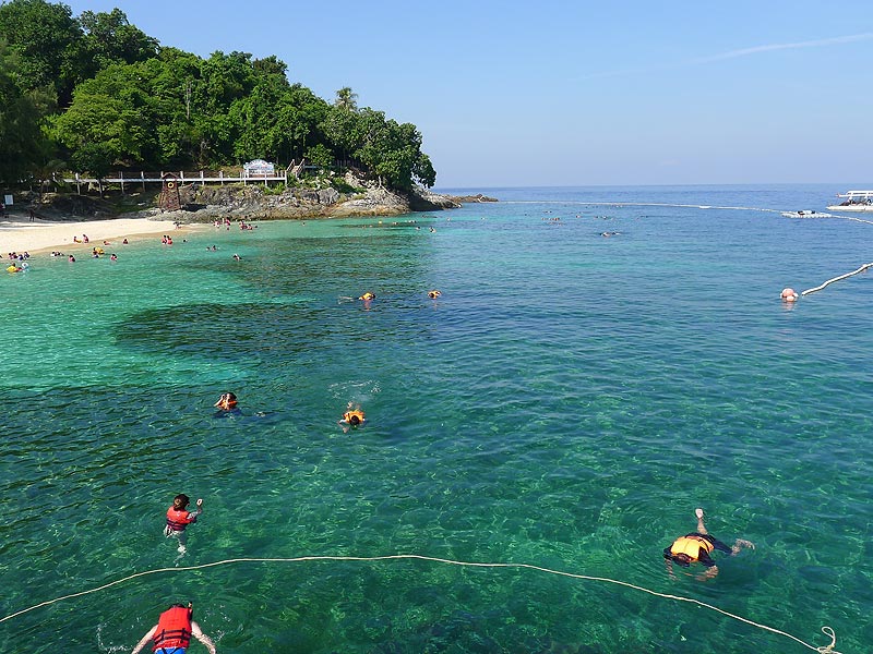 snorkel-area-coral-reef-redang-marine-park-centre-pulau-pinang.jpg