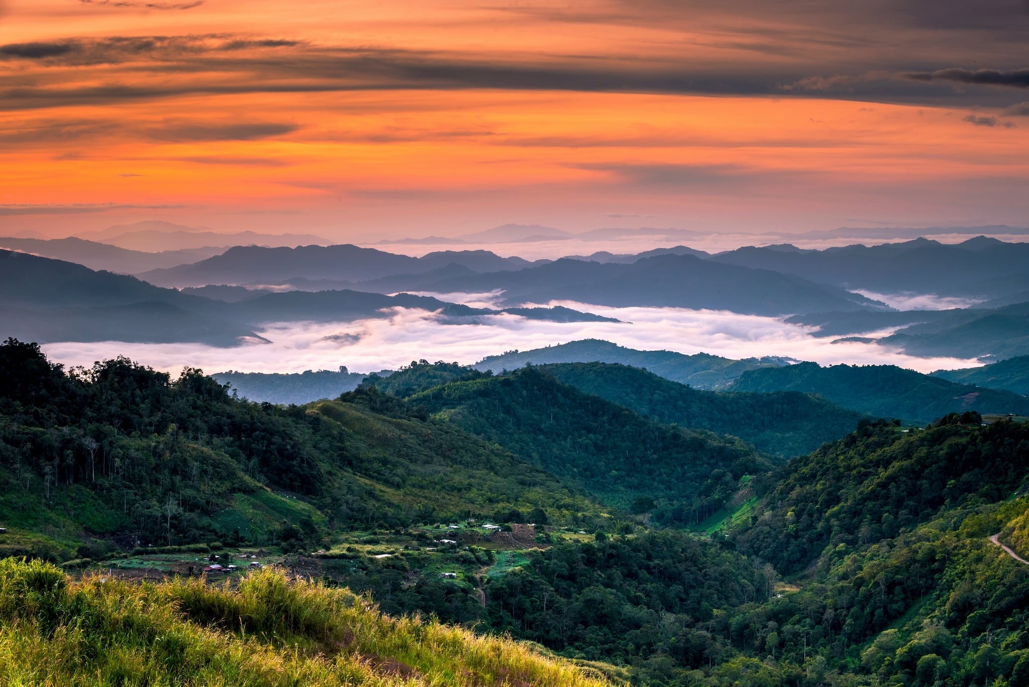 OnlineShopServices | Kundasang,