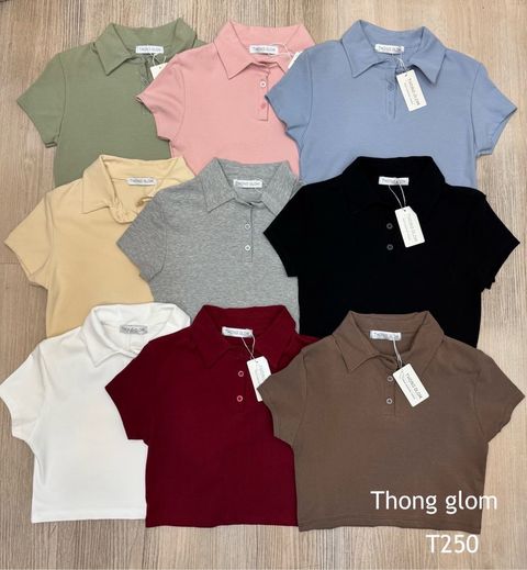 image_68643A95-047F-4319-827A-FA62A9910994_1762327186