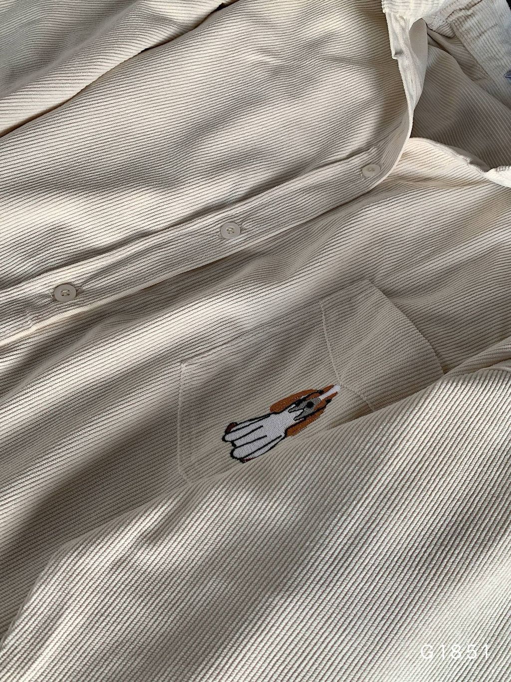 photo_6_2025-12-21_00-04-59