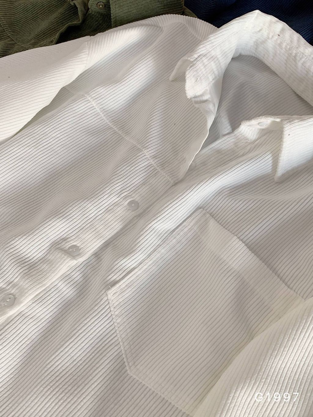 photo_6_2026-01-03_21-34-28