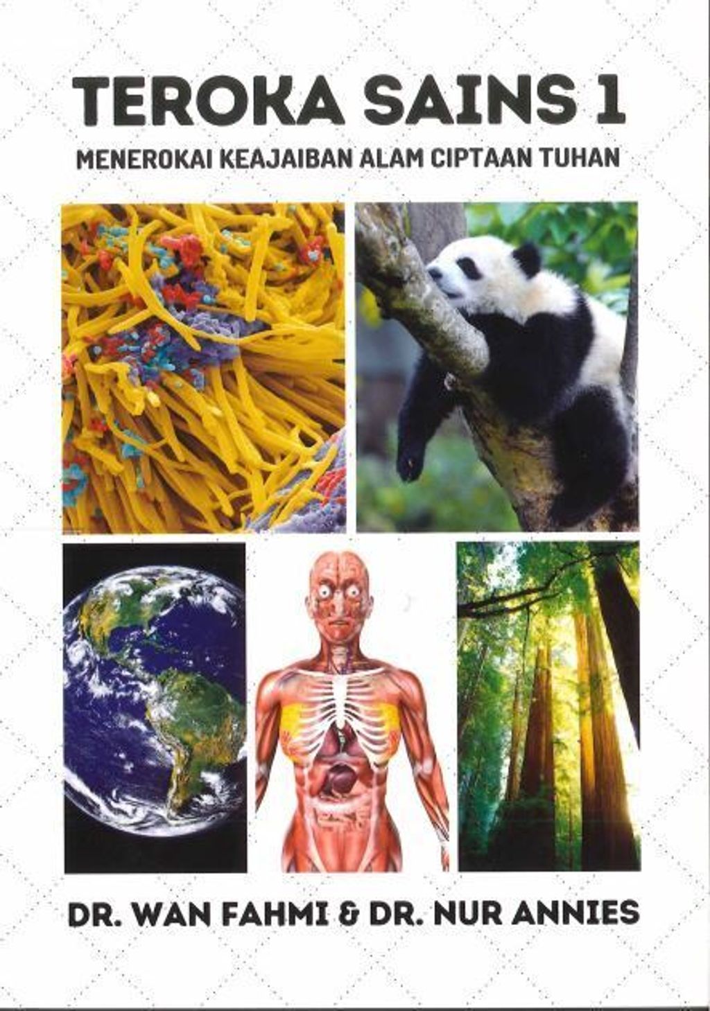 83391433