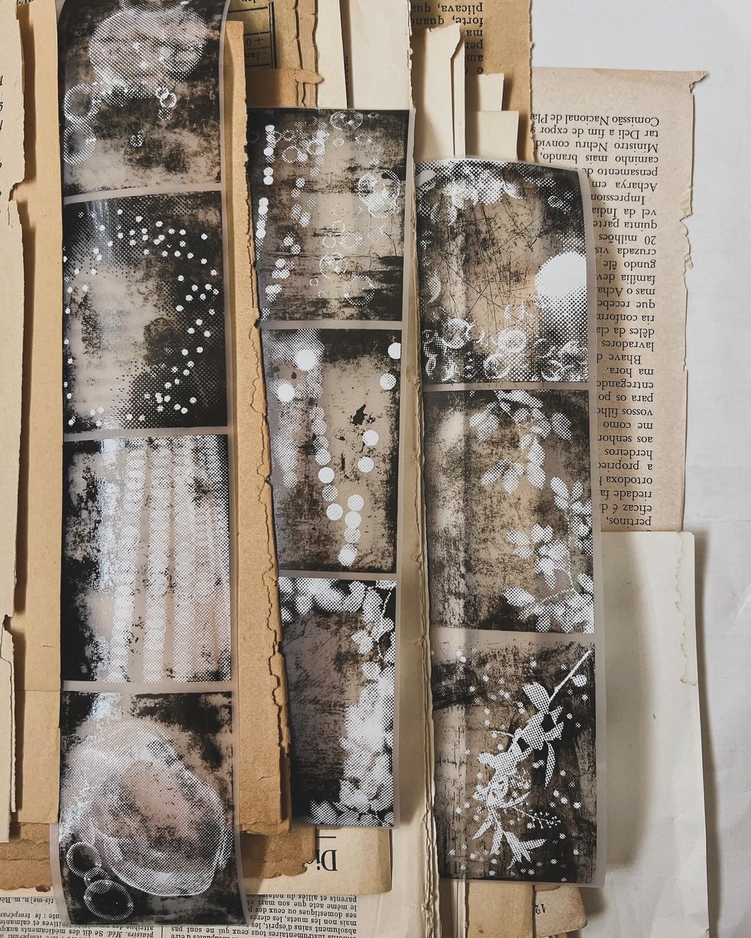 427855441_1068323241108406_4756629992254396495_n