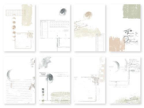 53673013513_7c3d9231a7_e