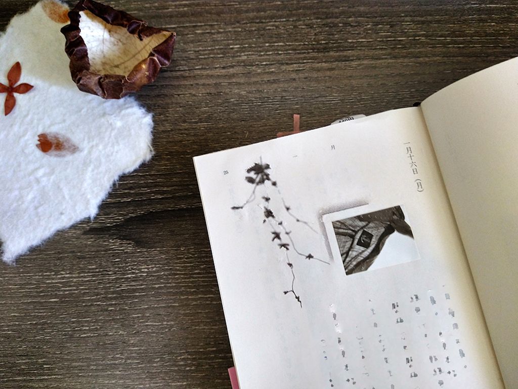 IMG_20230119_111041462_HDR