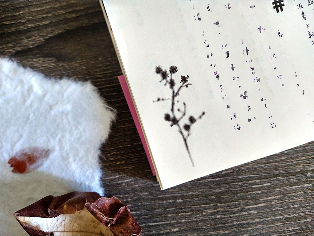 IMG_20230119_111109166_HDR