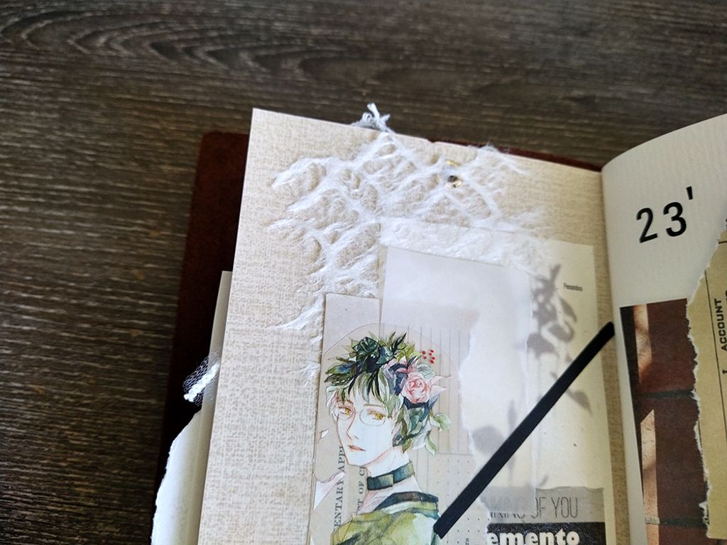 IMG_20230124_104912150_HDR