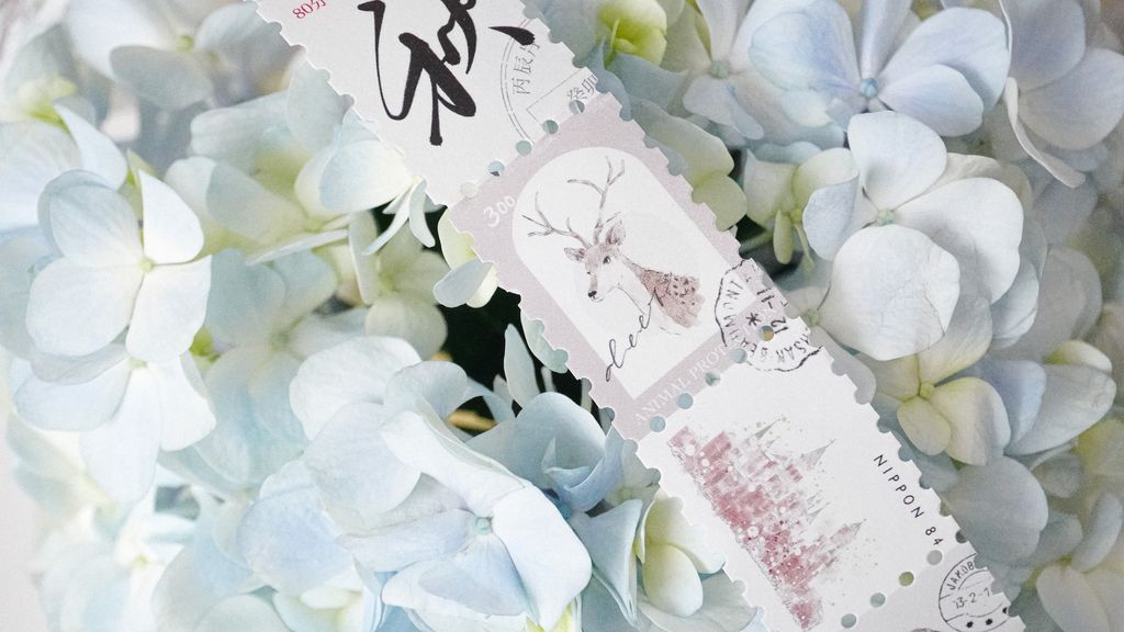 微信图片_20230720013321