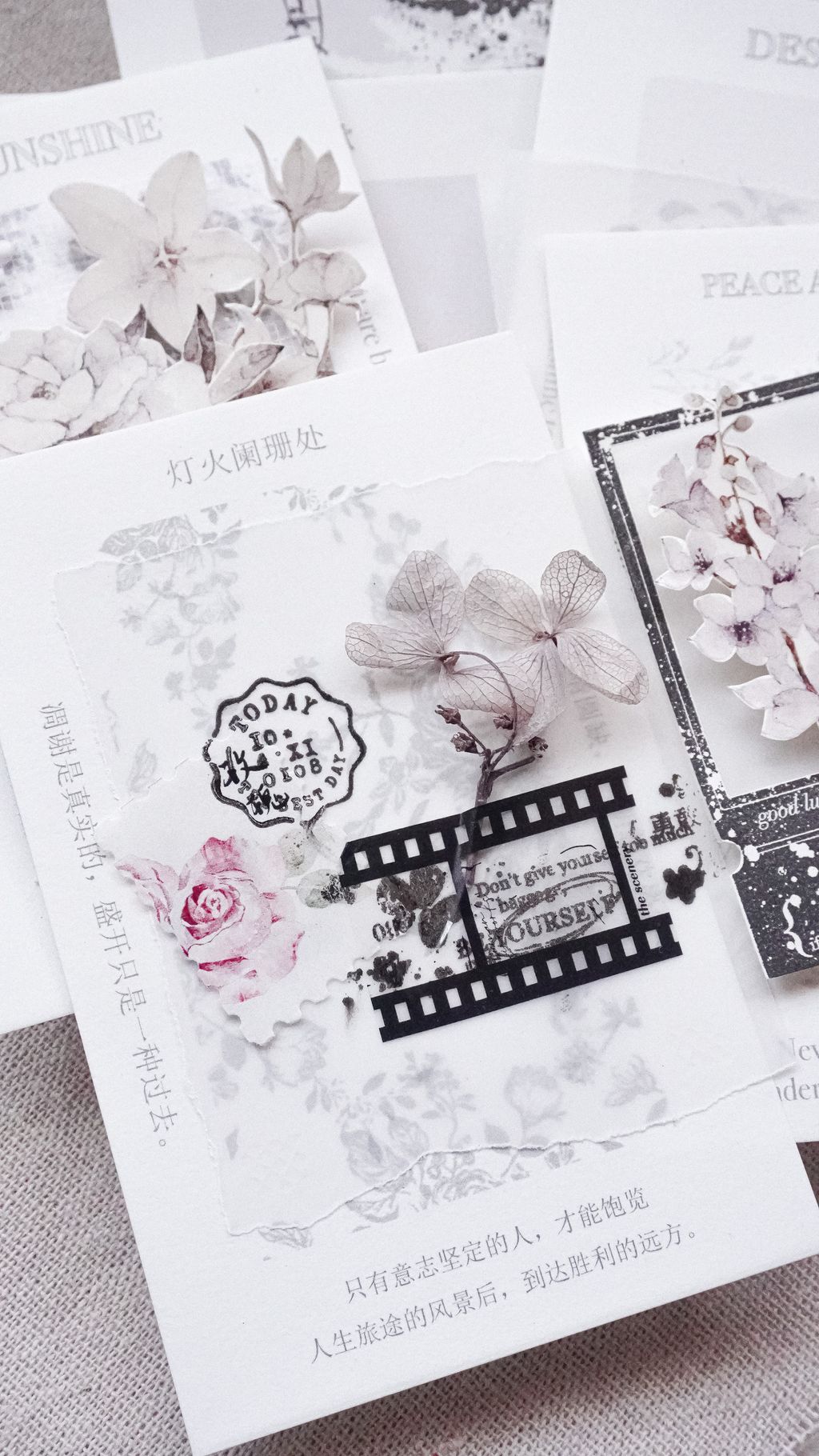 微信图片_20230720014003