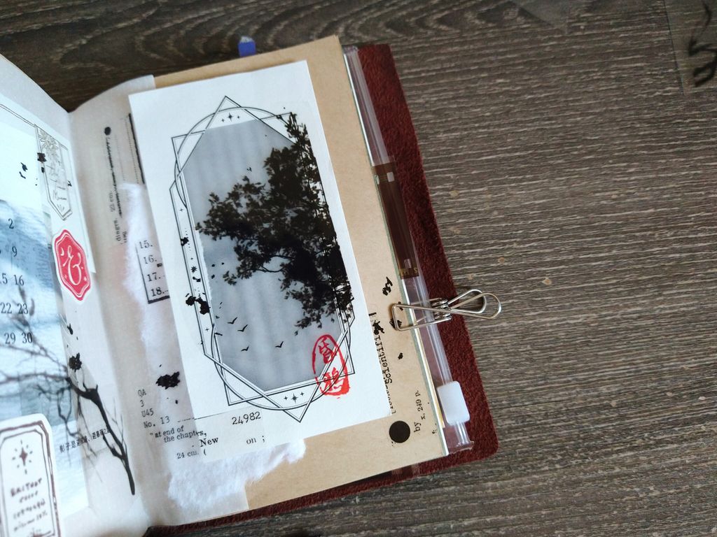 InShot_20230430_101701252