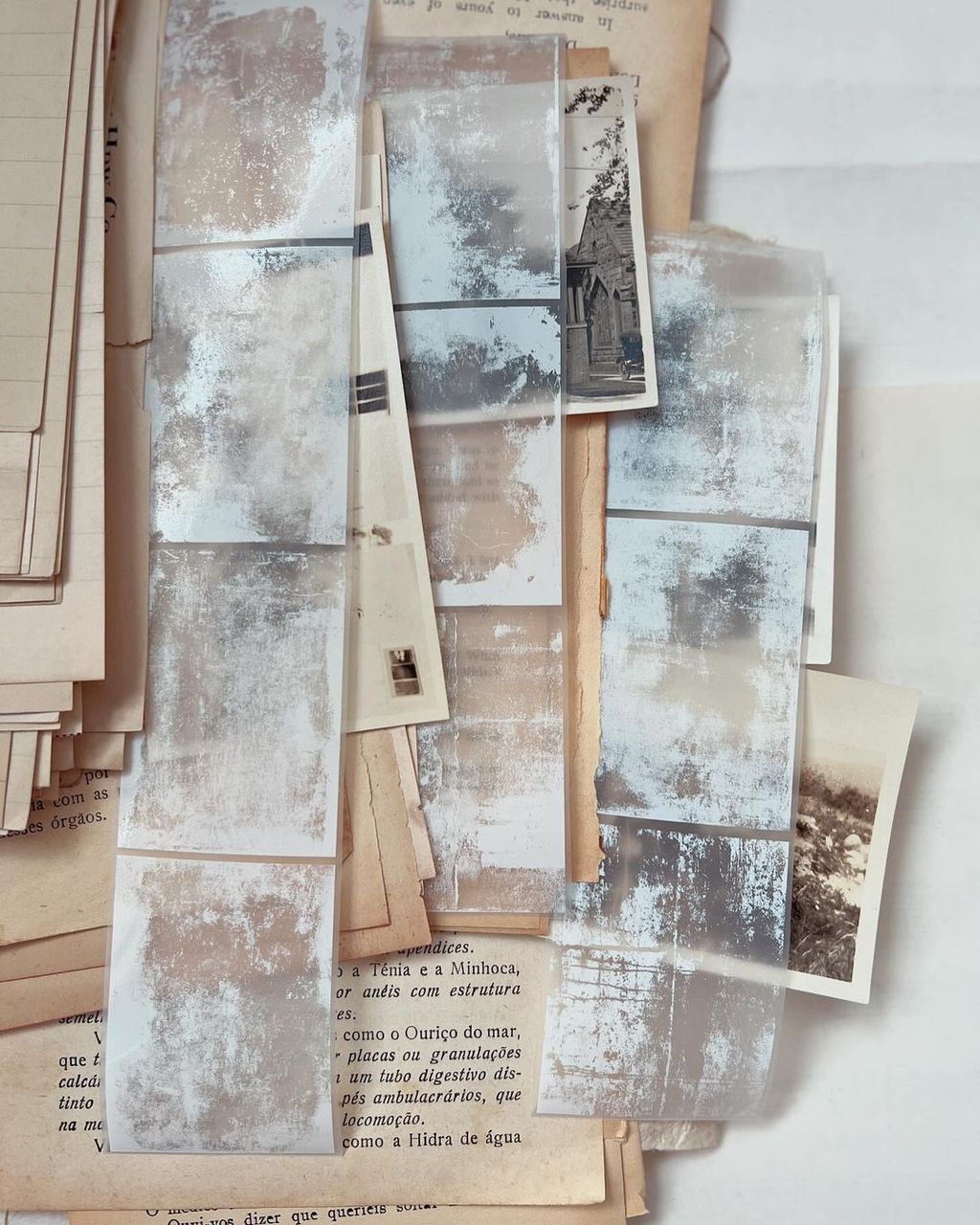 427644226_285079027701412_1571218767270213547_n