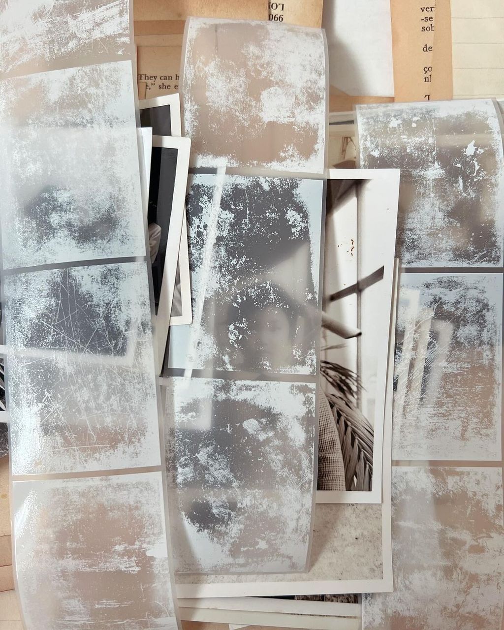 427923955_923962352333279_9105797101521196807_n