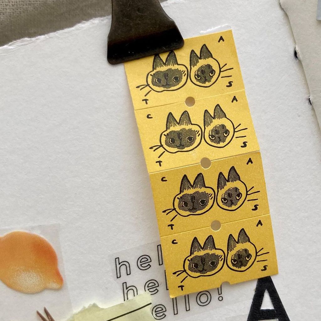 434261307_18272733523206368_2274703926804719215_n