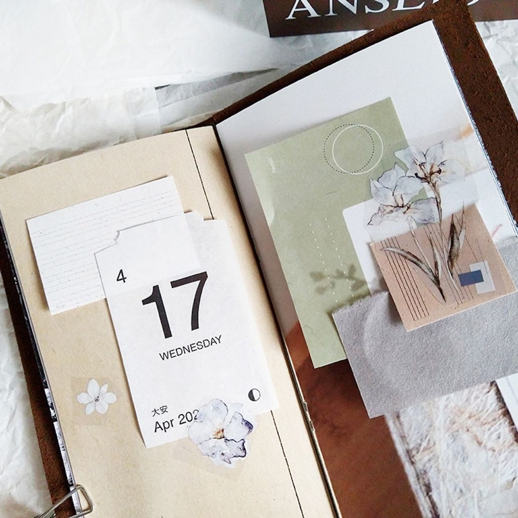 InShot_20240427_101051280