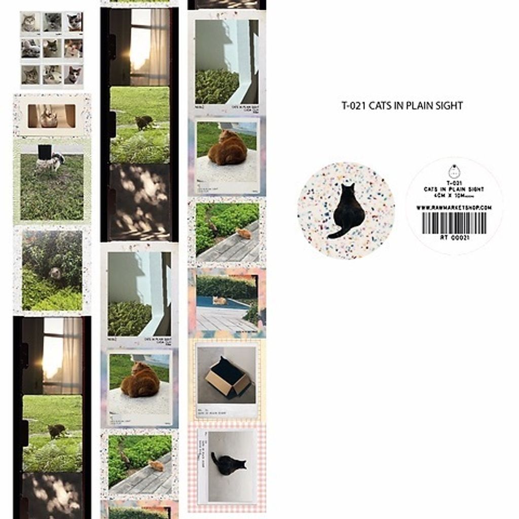 T021 Cats in plain sight_2