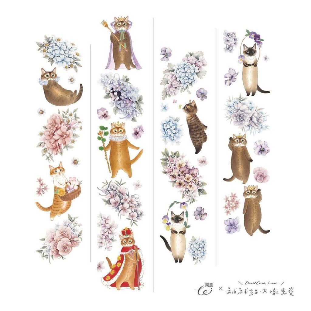 448553328_1531520131127796_3755156420451040769_n