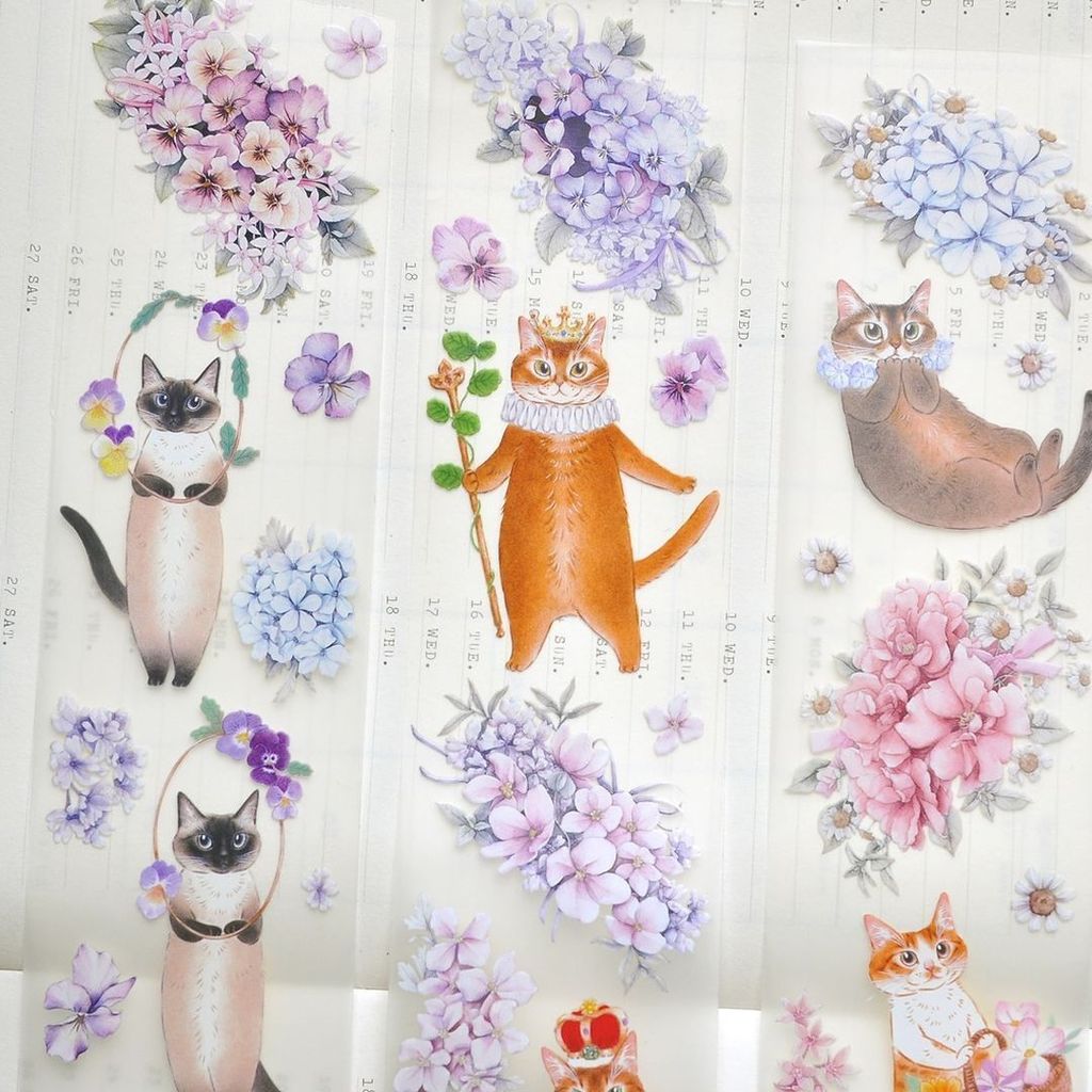 448949002_2331807937156981_8320426628456123012_n