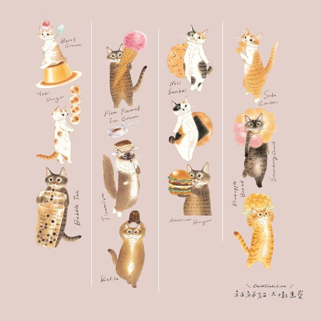 448797072_869706288322331_8587228043511160864_n